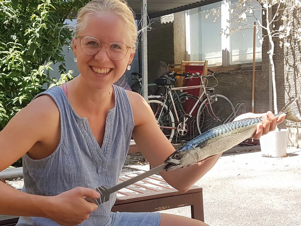 Knister Grillschwerter - BABOSSAKnister GrillschwerterKnisterBABOSSA